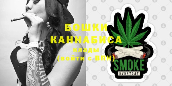 молекула духа Иннополис