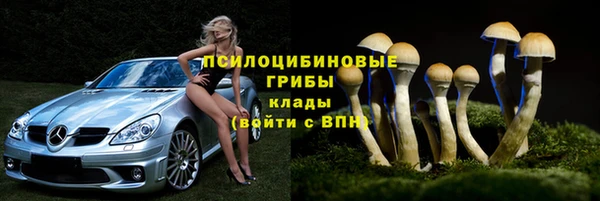 молекула духа Иннополис
