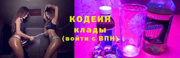 крисы Инсар
