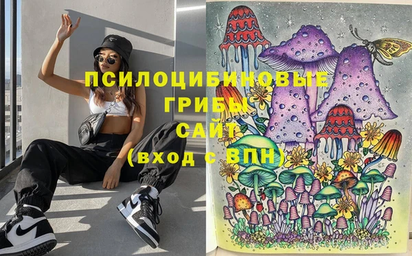 молекула духа Иннополис