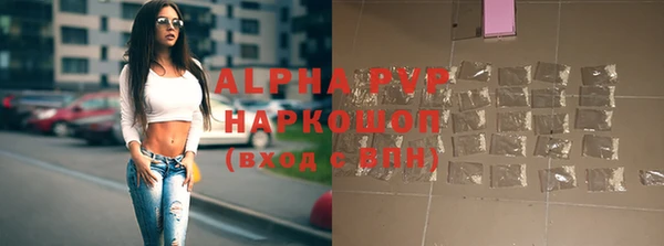 молекула духа Иннополис