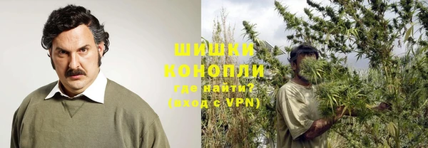 крисы Инсар
