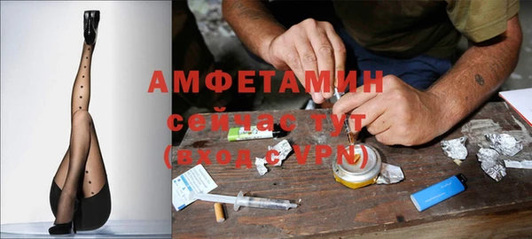 молекула духа Иннополис
