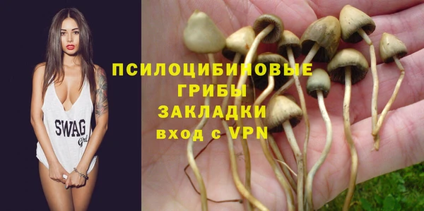 прущие крисы Инта