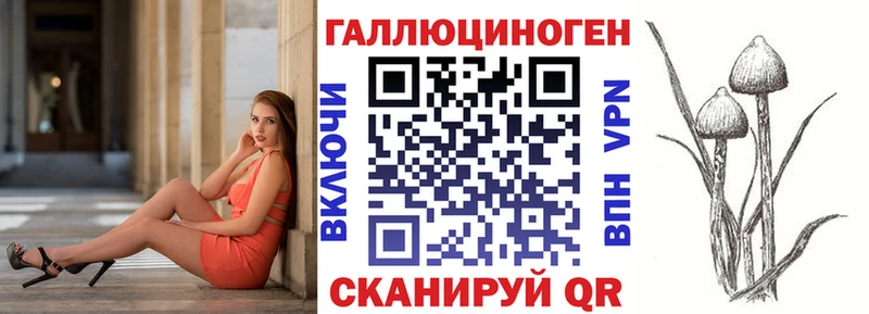 Псилоцибиновые грибы Psilocybe  Купить  Белая Холуница 
